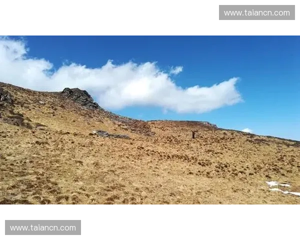 Dota2老板带领团队挑战新高峰揭秘游戏产业背后的成功秘诀